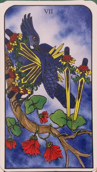 Nature Spirit Tarot